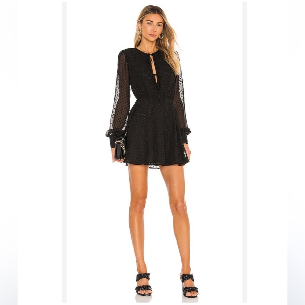 Lovers and Friends Black Swiss Dot Tie Front Sheer Mini Dress Size S